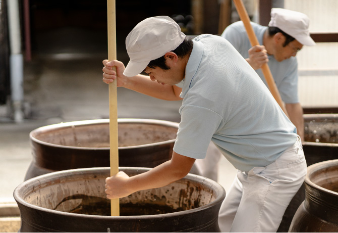 ビネガーランチコース
